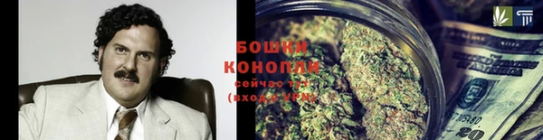 МДПВ Дедовск